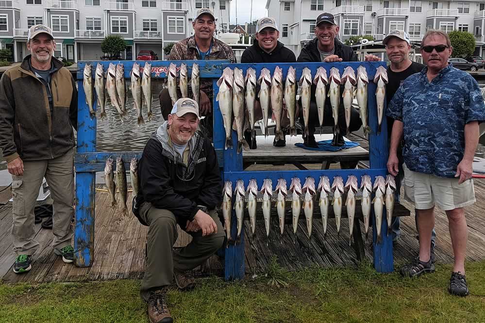 Blue Dolphin Walleye Charters - 060719