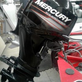 2006 Bass Tracker Pro Team 175 SC - Mercury 60 Four Stroke